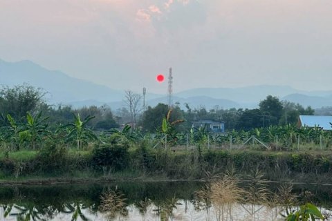 Terreno en Mae Rim, Tailandia № 152402 - foto 5