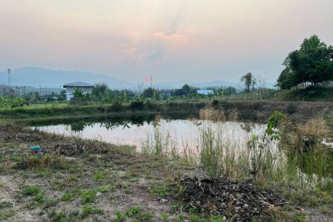 Terreno en Mae Rim, Tailandia № 152402 - foto 6