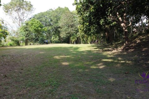 Terreno en Chiang Mai, Tailandia № 162530 - foto 10