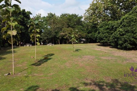 Terreno en Chiang Mai, Tailandia № 162530 - foto 12