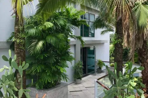 Estudio en Phuket, Tailandia № 161023 - foto 9