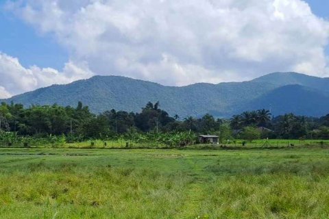 Casa de 3 dormitorios en Chiang Mai, Tailandia № 133459 - foto 2