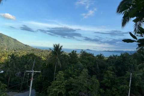 Terreno en Surat Thani, Tailandia № 172913 - foto 6