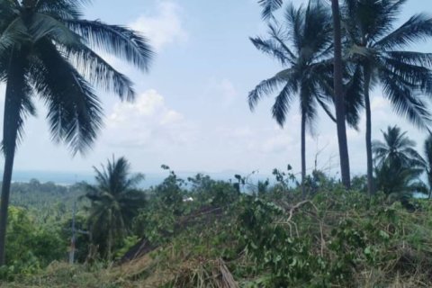 Terreno en Surat Thani, Tailandia № 172913 - foto 4