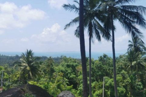 Terreno en Surat Thani, Tailandia № 172913