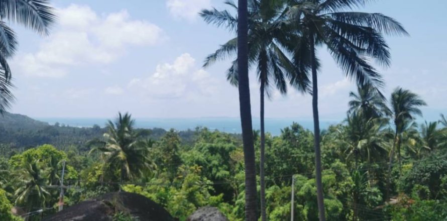 Terreno en Surat Thani, Tailandia № 172913