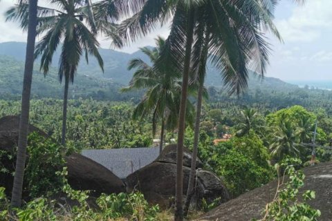 Terreno en Surat Thani, Tailandia № 172913 - foto 9