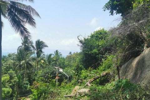 Terreno en Surat Thani, Tailandia № 172913 - foto 8