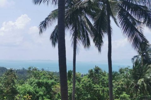 Terreno en Surat Thani, Tailandia № 172913 - foto 2