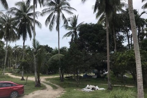 Terreno en Surat Thani, Tailandia № 115705 - foto 4