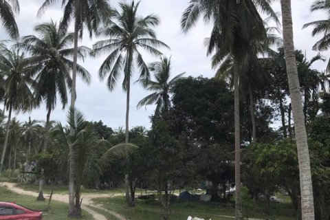 Terreno en Surat Thani, Tailandia № 115705 - foto 3