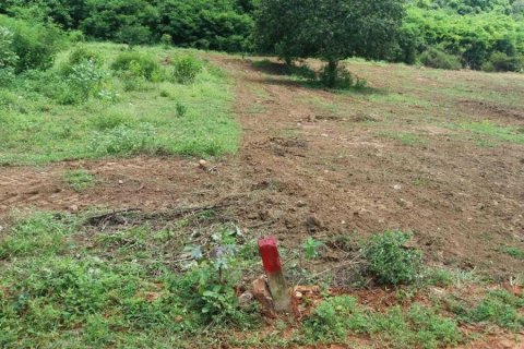 Terreno en Pran Buri, Tailandia № 205682 - foto 3