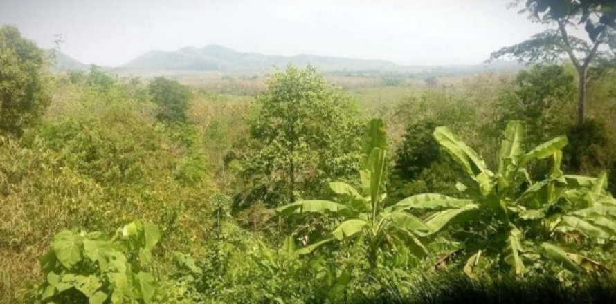 Land in Pa Klok, Thailand 5841 sq.m. № 191240