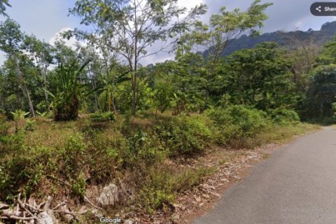 Land in Pa Klok, Thailand 5841 sq.m. № 191240 - photo 4