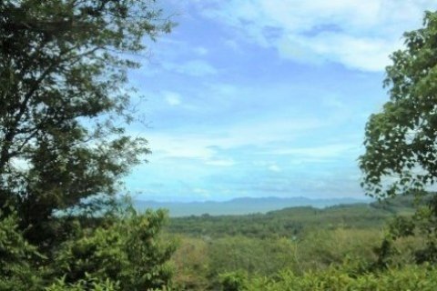 Terreno 3184 m2 en Pa Klok, Tailandia № 191241 - foto 4
