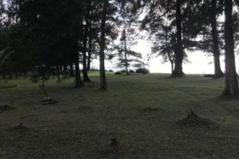 Land in Phang Nga, Thailand 59200 sq.m. № 191243 - photo 4