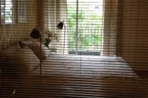 Condominio de 1 dormitorio en Bangkok, Tailandia № 144082 - foto 6