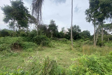 Land in Ko Samui, Thailand № 116771 - photo 3
