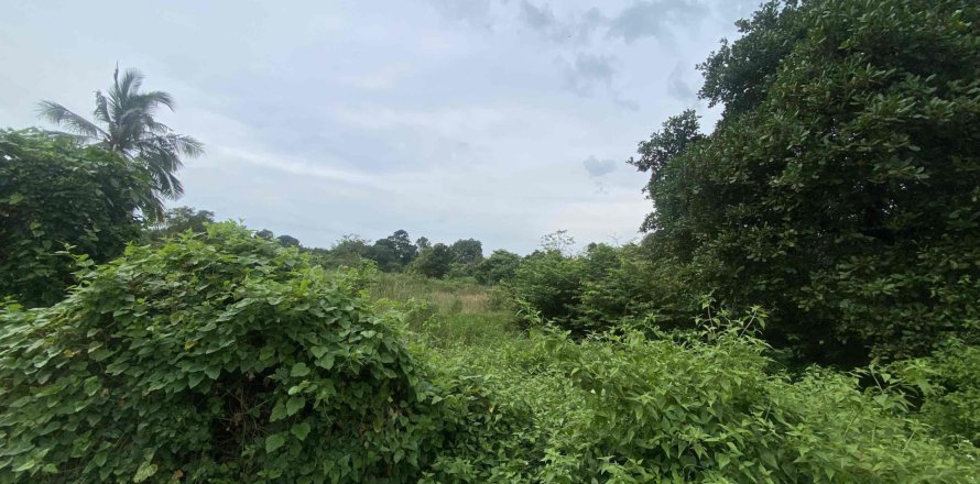 Land in Ko Samui, Thailand № 116771