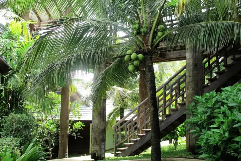 Chalet de 7 dormitorios en Ao Luek, Tailandia № 137578 - foto 19