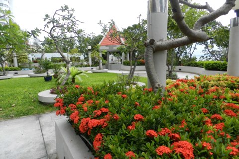 Studio in the Condo in Pattaya, Thailand  № 172074 - photo 22
