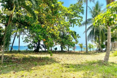 Terreno en Prachuap Khiri Khan, Tailandia № 146999 - foto 10