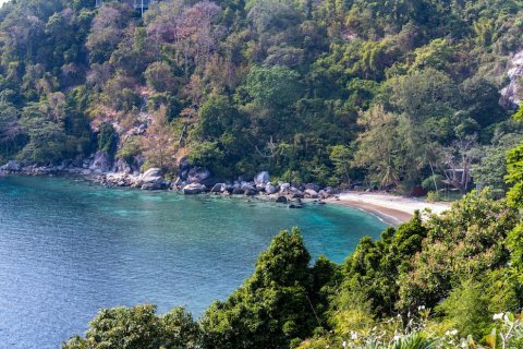 Haus in Phuket, Thailand 5 Schlafzimmer № 66146 - Foto 13