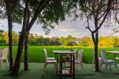 Propriété commerciale à Chiang Mai, Thaïlande 1000 m2 № 122846 - photo 22