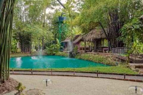 Propriété commerciale à Chiang Mai, Thaïlande 1000 m2 № 122846 - photo 7