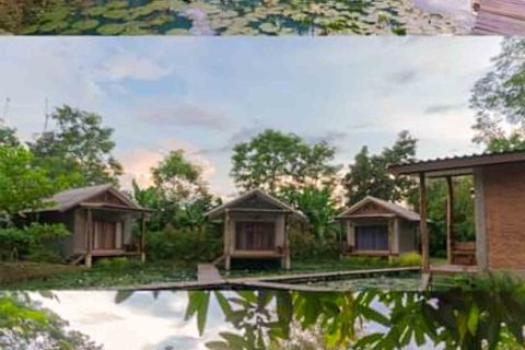 Propriété commerciale à Chiang Mai, Thaïlande 1000 m2 № 122846 - photo 2