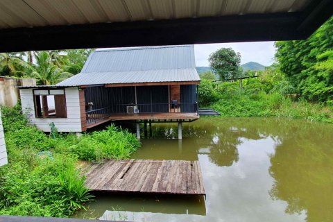 Local comercial 900 m2 en Chiang Mai, Tailandia № 162807 - foto 8