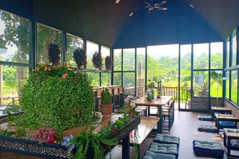 Local comercial 900 m2 en Chiang Mai, Tailandia № 162807 - foto 23