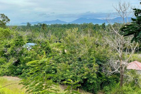 Terreno en Ko Samui, Tailandia № 135362 - foto 2