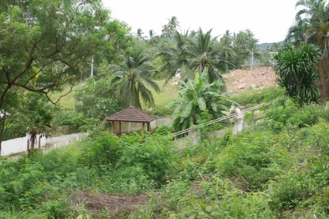 Terreno en Ko Samui, Tailandia № 135362 - foto 5