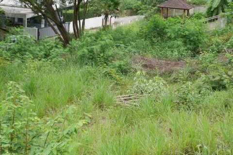 Terreno en Ko Samui, Tailandia № 135362 - foto 7
