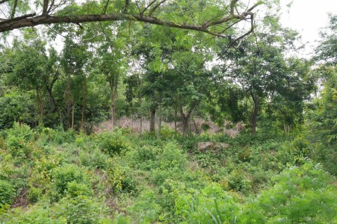Terreno en Ko Samui, Tailandia № 135362 - foto 3