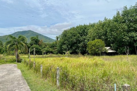 Terrain à Ko Samui, Thaïlande 1600 m2 № 172481 - photo 5