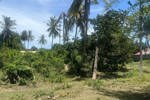 Land in Ko Samui, Thailand 13932 sq.m. № 172484 - photo 4