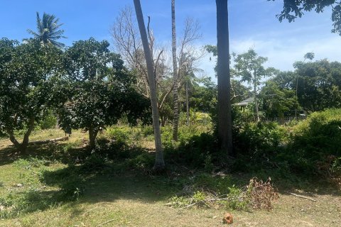 Land in Ko Samui, Thailand 13932 sq.m. № 172484 - photo 3