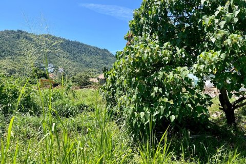 Grundstück in Ko Samui, Thailand 775 m2 № 172483 - Foto 3