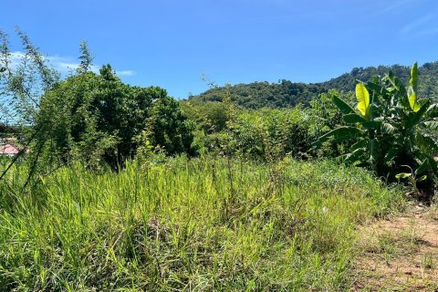 Grundstück in Ko Samui, Thailand 775 m2 № 172483