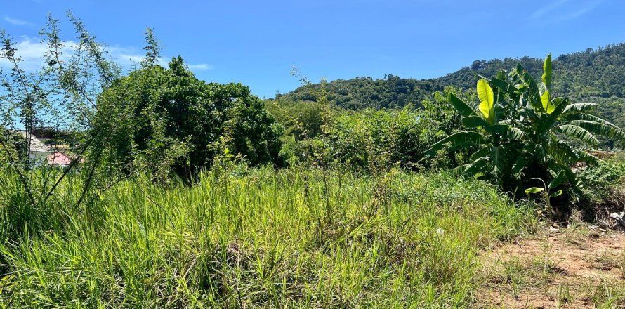 Grundstück in Ko Samui, Thailand 775 m2 № 172483