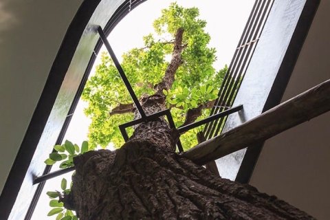 Haus in Bangkok, Thailand 7 Schlafzimmer № 157552 - Foto 3