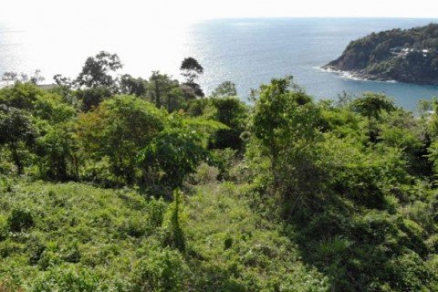 Terreno 5878 m2 en Kamala, Tailandia № 191251 - foto 4