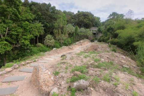 Terreno 3932 m2 en Kamala, Tailandia № 191250 - foto 9