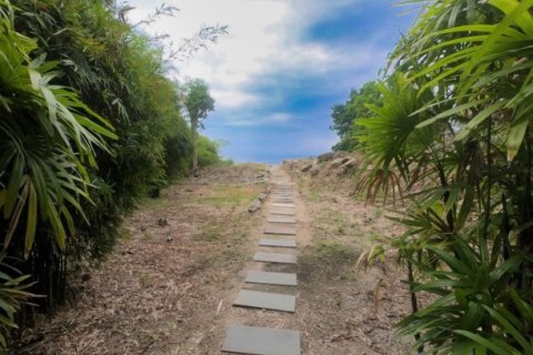 Terreno 3932 m2 en Kamala, Tailandia № 191250 - foto 4