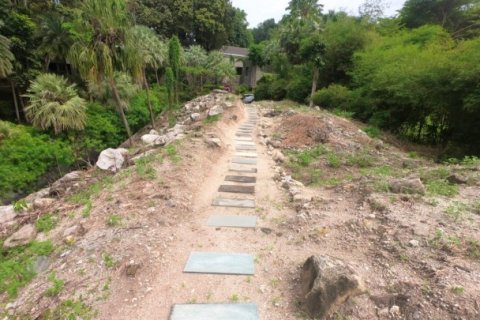 Terreno 3932 m2 en Kamala, Tailandia № 191250 - foto 15