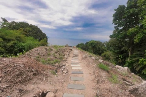 Terreno 3932 m2 en Kamala, Tailandia № 191250 - foto 6