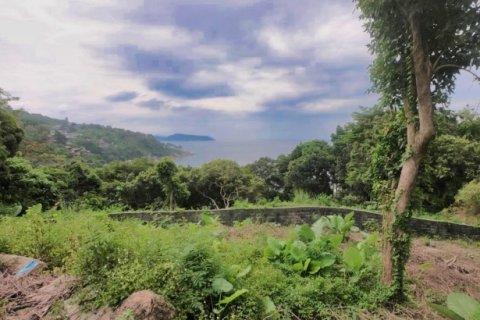 Terreno 3932 m2 en Kamala, Tailandia № 191250 - foto 11