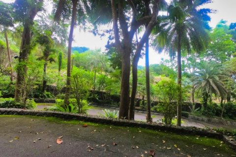 Terreno 3932 m2 en Kamala, Tailandia № 191250 - foto 3